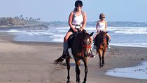 Bali Village Experience Horse Ride
