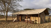 4 Day Adventure Lake Manyara , Serengeti & Ngorongoro 