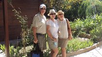 Family Day in Ephesus - Private Ephesus Tour from Kusadasi