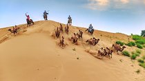 8 Days Tour: Gobi Desert And Kharkhorin
