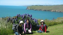 Christchurch Coastal Hiking Tour