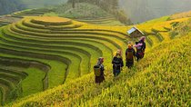 Trekking In Mu Cang Chai Tour 4 Days