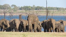 Kaudulla National Park Safari from Habarana