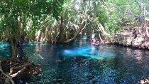 Kikuletwa Hot Spring Day Tour