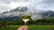 Wine Tour in Mtskheta Region (Day Tour)