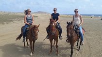 Aruba Horseback Riding Tour For Advanced Riders