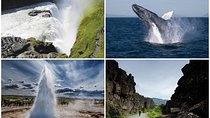 Whale Watching and Golden Circle Tour from Reykjavik