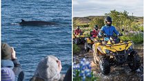 Whale Watching & ATV Adventure from Reykjavik