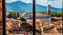 Lucca and Pisa Day Tour from Rome