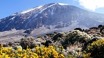 6 Days Umbwe Route - Mount Kilimanjaro 