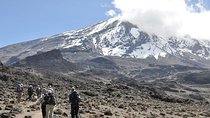 8 Days Lemosho Route - Climb Mount Kilimanjaro