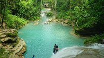 Horseback Riding, Blue Hole, Luminous Lagoon, River Tubing or Rafting Tour