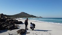 Hiking Cape of Good Hope & Cape Point Private Full Day Tour