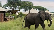Hwange National Park Safari from Victoria Falls (2 Nights)