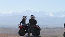 Half-day quad bike in the palmgrove & rock desert