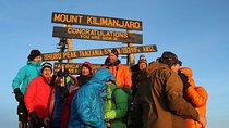 9 Northern Circuit Route - Mount Kilimanjaro