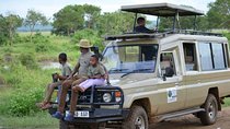 4 days Ngorongoro crater, Tarangire and Serengeti national park