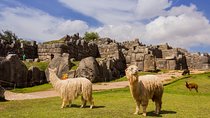 Cusco City Tour: Sacsayhuaman Koricancha Tambomachay Cathedral