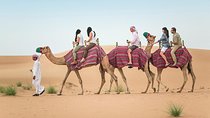 Dubai Camel Rock Desert Safari with Dune Bashing & BBQ & Show