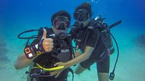 Full-Day Catalina Island Scuba Diving Tour from Punta Cana