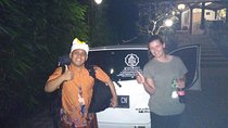 Bali Private Car Charter With Driver