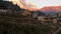 10 Days Annapurna Sikles Village Homestay Hike