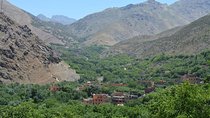  Private : Day trip to Imlil Atlas Mountains from Marrakech