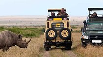 8 Days Discover Kenya Safari with 4x4 Land Cruiser Jeep 
