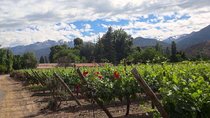 Aconcagua Private Wine Lovers Premium Tour