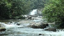 Sinharaja' rainforest - Discovery Tour (half day)
