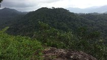 Explore Sinharaja Rainforest Lions Rock Hike Full day
