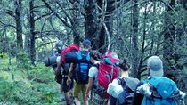 TOMOR MOUNTAIN HIKING from Berat by 1001 Albanian Adventures