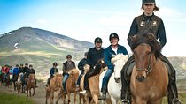 Icelandic Horseback Riding Tour Including Pick Up from Reykjavik