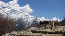 Everest Base Camp - Cho La Pass - Gokyo Trek