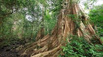 Nam Cat Tien National Park 2-Day Tour with Lodging, Meals..