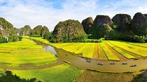 Incredible Hoa Lu Tam Coc 1 Day With Small Group & All Included