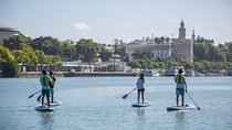 Seville: Paddle Surf Route and Class