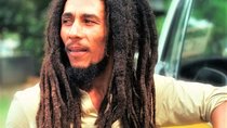 Bob Marley's Nine Mile Day-Trip with Admission & Guided Tour from Falmouth