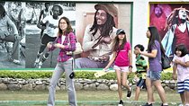 Private Bob Marley Nine Mile & Kingston Tour Combo from Montego Bay