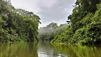 Full day at Tortuguero wild life observation at caribbean side all inclusive