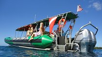 West Maui Snorkeling Experience by Boat from Ka'anapali