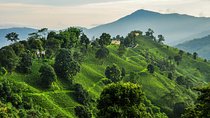 7 days Short Hike & Getaway to Ilam Tea Garden