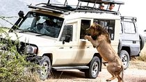 4 Days Serengeti Splendor Adventure