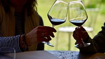 Winery tours and tastings in Bolgheri with Wine Guide 