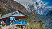 6 Days Ghorepani Ghandruk Short Annapurna Homestay Trek