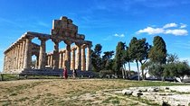 Paestum Temples Private Tour with Farm Experience from Sorrento