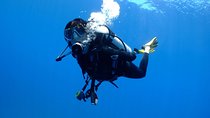 Padi scuba diver course