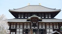 Nara Private Tour by Public Transportation from Osaka