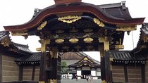 Private Nijo Castle Sightseeing and Nishiki Food Tour