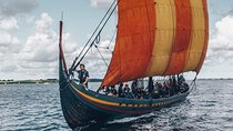 Private Tour to Vikings City Roskilde from Copenhagen